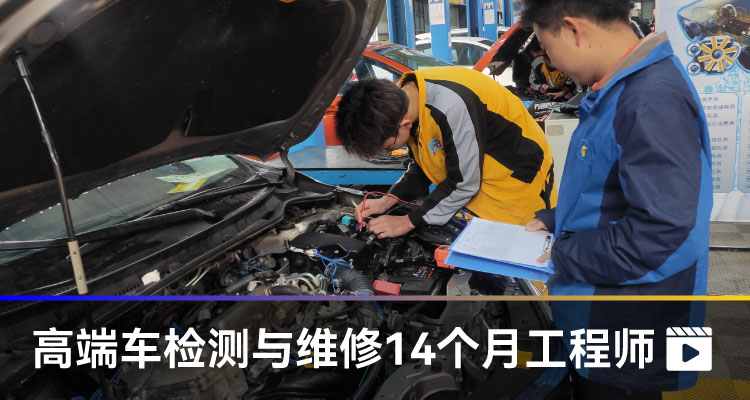 高端車檢測與維修14個月工程師